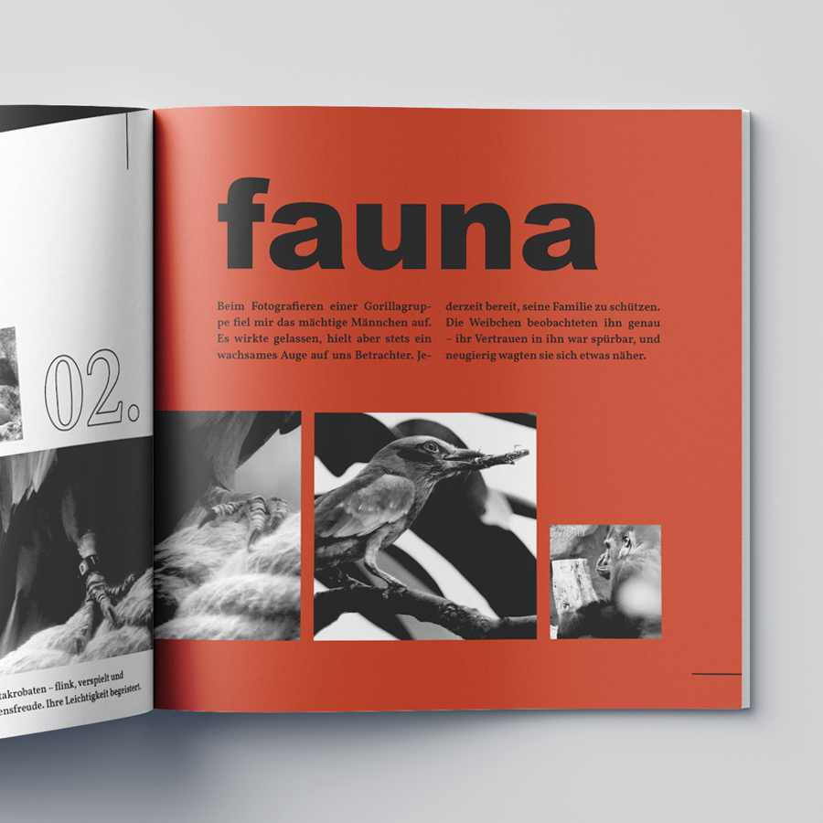 Contrast Folder Fauna Flora Elements 03